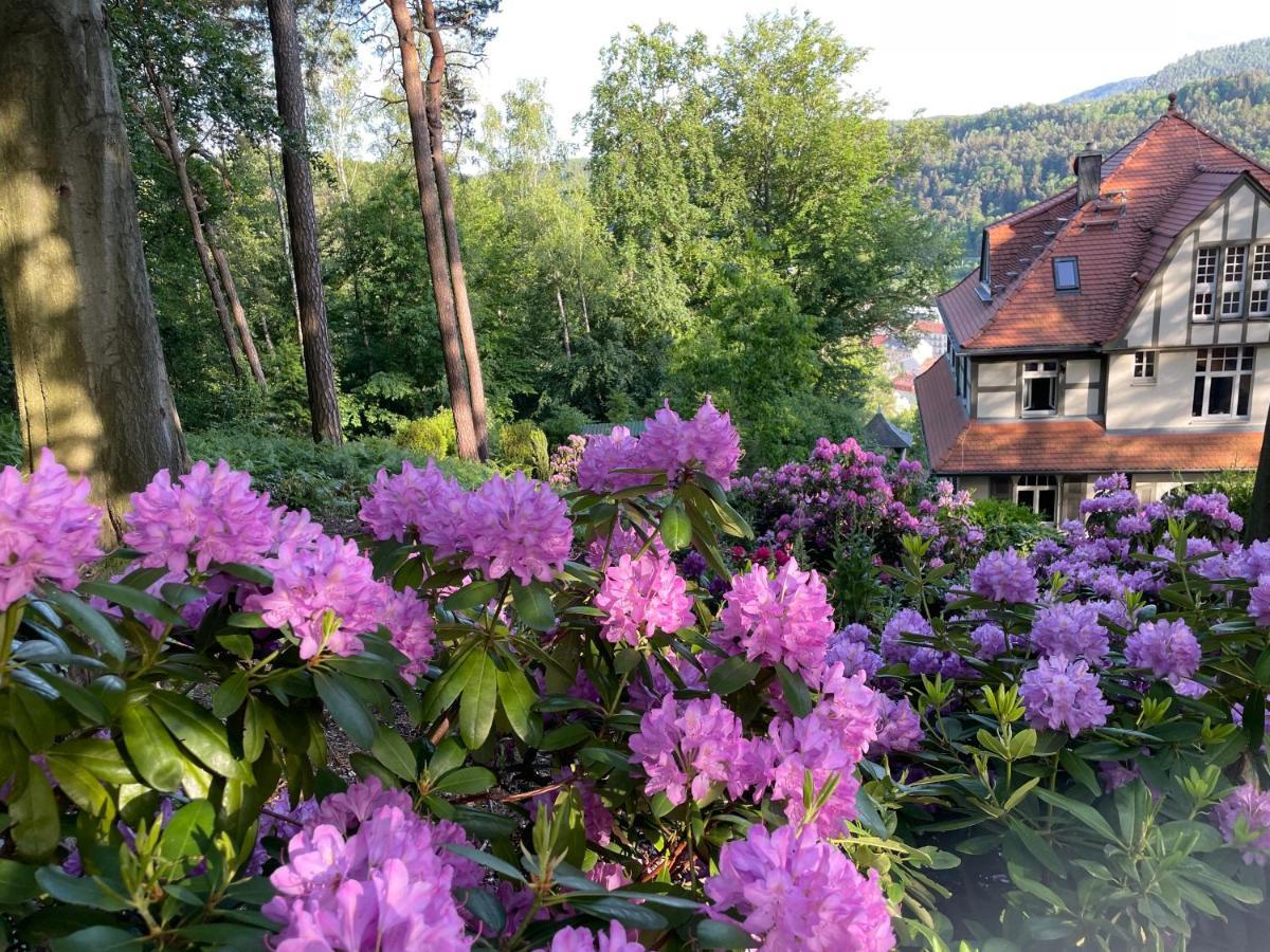Villa Sonnenburg 바트샨다우 외부 사진